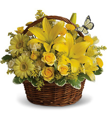 Basket Full of Wishes from Fabbrini's Flowers in Hoffman Estates, IL
